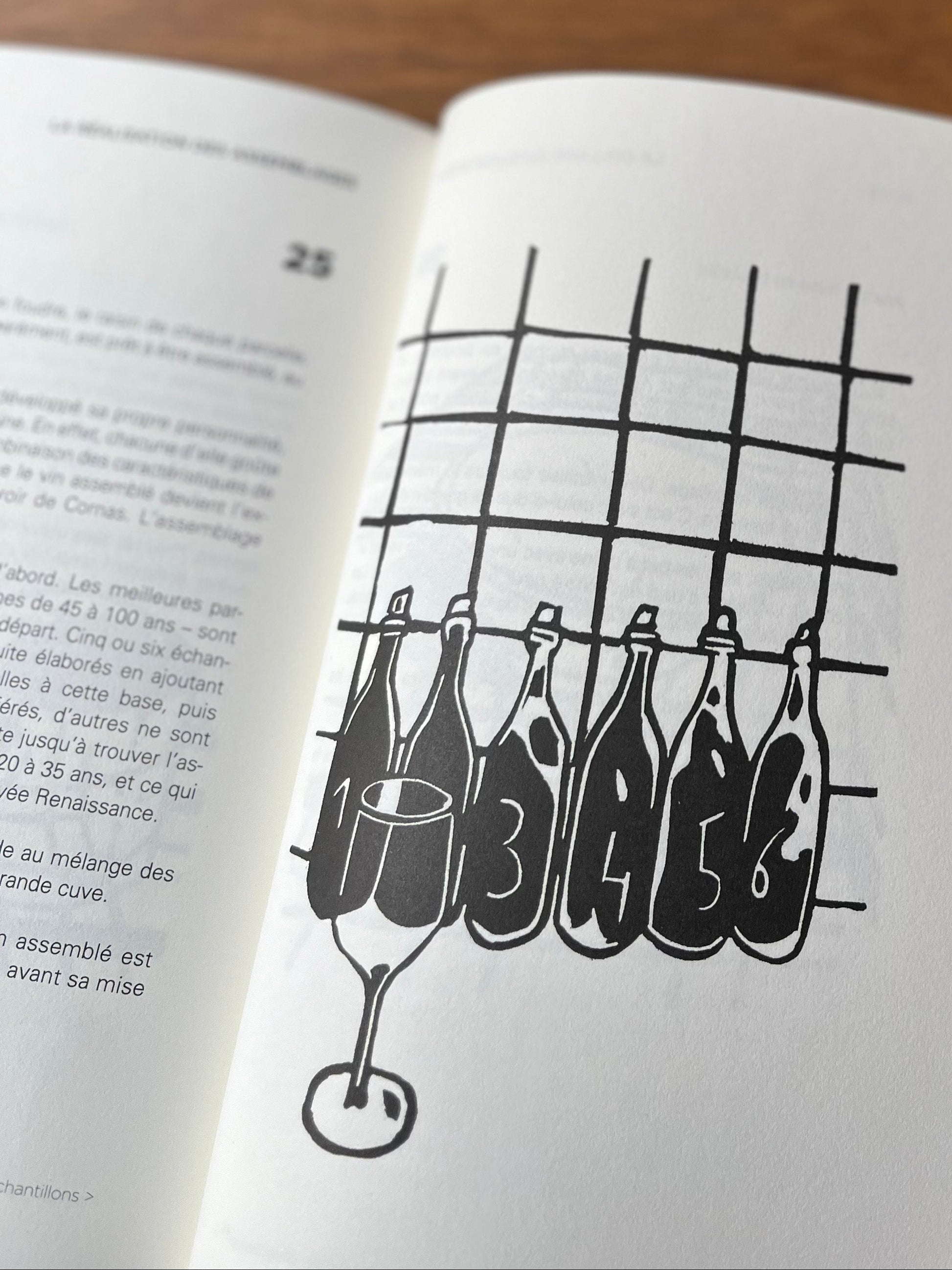 Linocut by Quentin Préaud as seen in the 2025 book A Year in the Vineyard at the Domaine Clape in Cornas by Magali Jacob