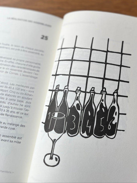 A Year In the Vines at the Domaine Clape in Cornas