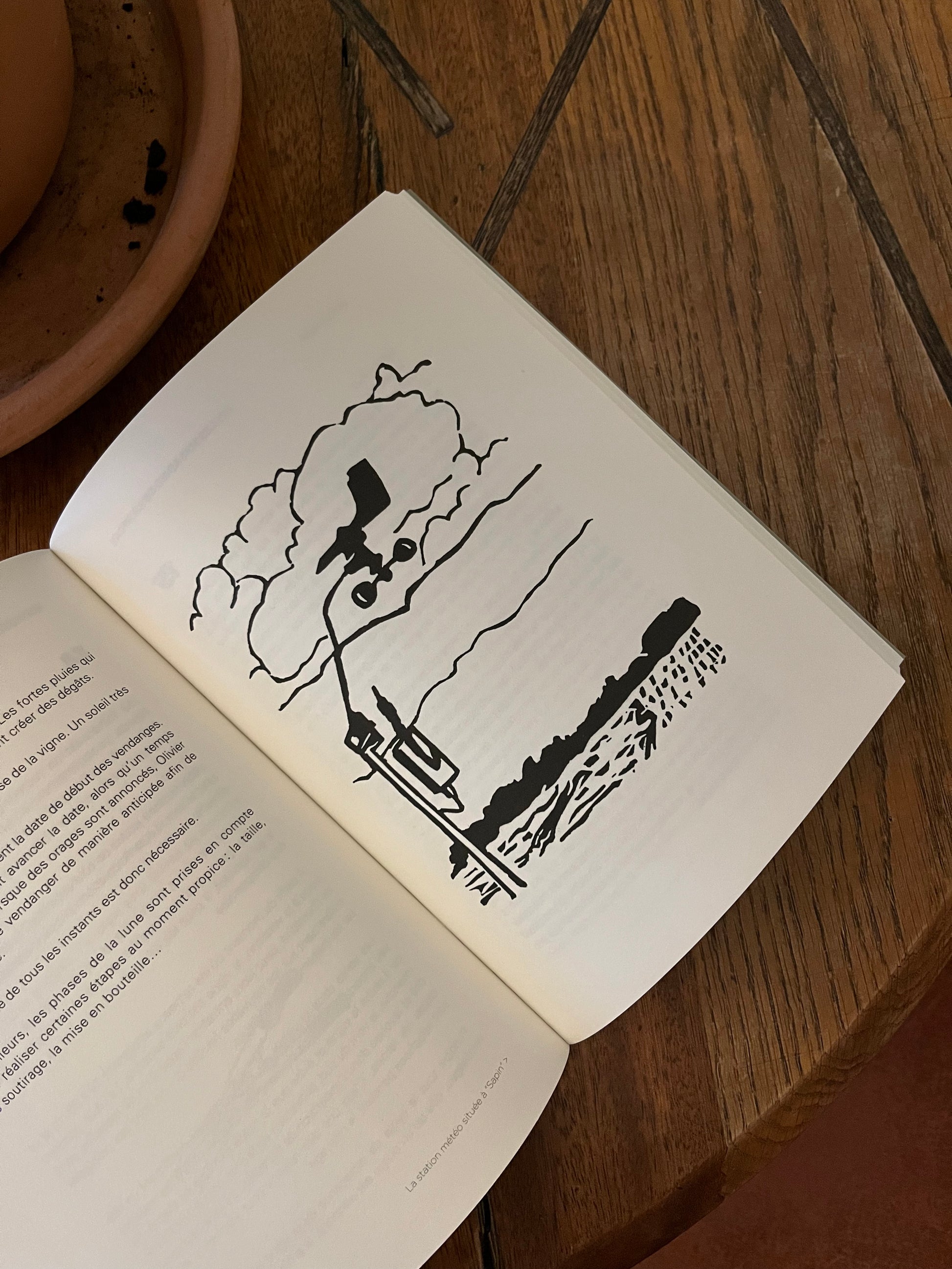Linocut by Quentin Préaud as seen in the 2025 book A Year in the Vineyard at the Domaine Clape in Cornas by Magali Jacob