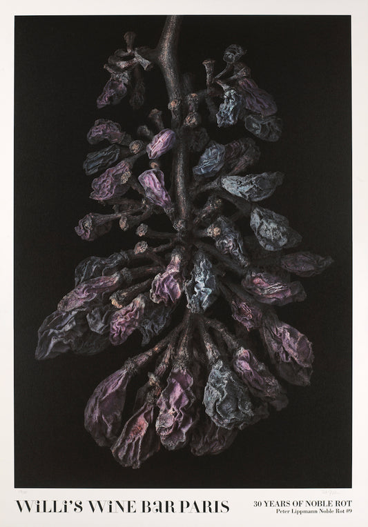 Peter LIPPMANN 2010 Signed Velin Edition Willi's Wine Bar